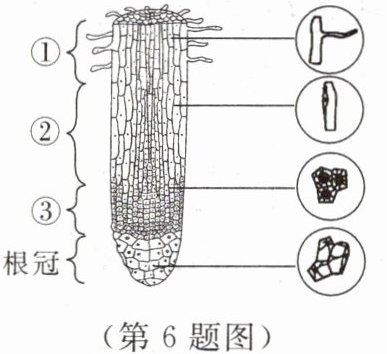 第6题图