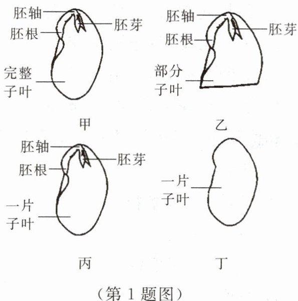 第1题图