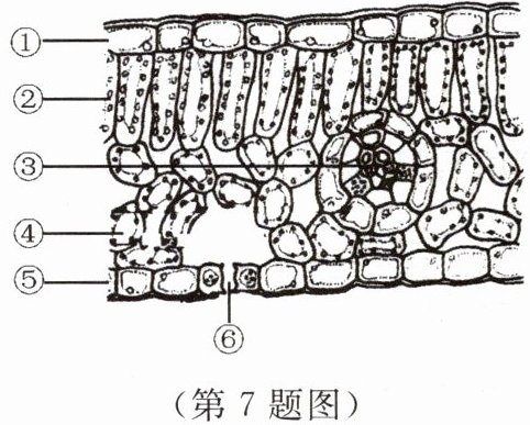 第7题图
