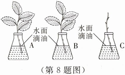 第8题图