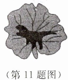 第11题图