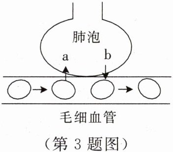 第3题图