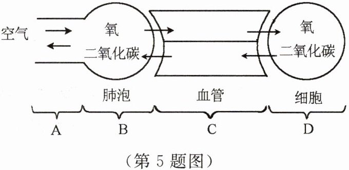 第5题图