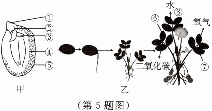 第5题图