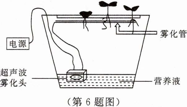 第6题图