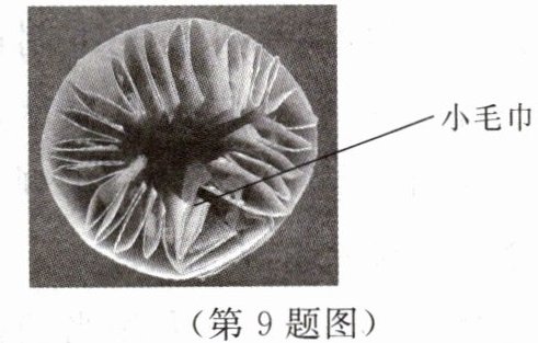 第9题图