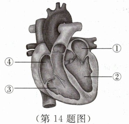 第14题图