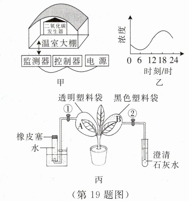 第19题图