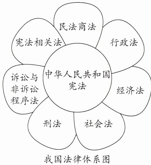 我国法律体系图