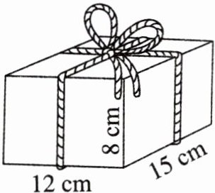 12cm