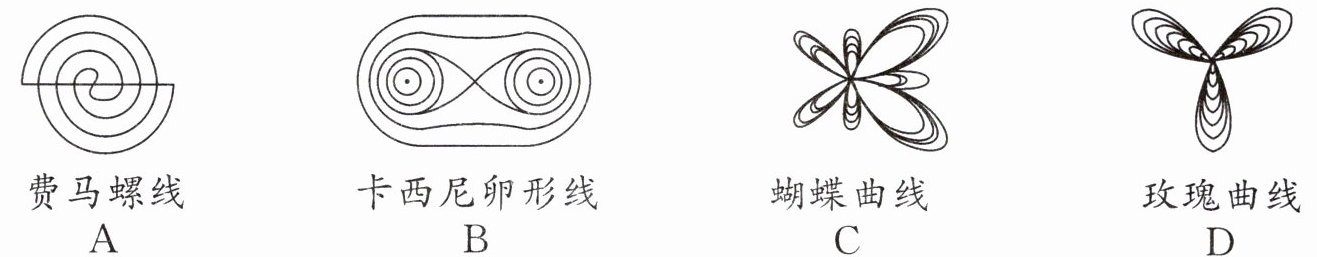 玫瑰曲线D
