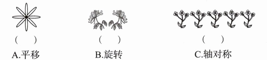 C轴对称
