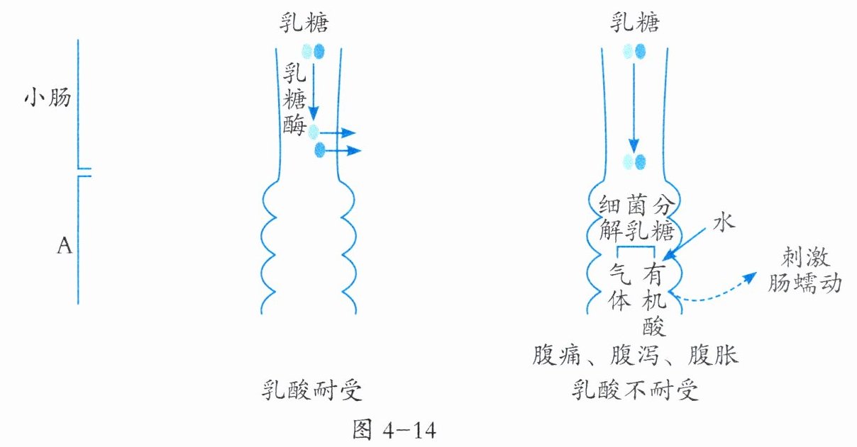 图4-14