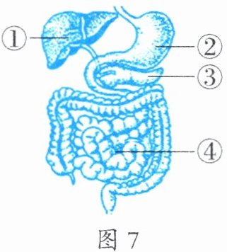 图7