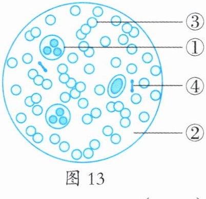 图13