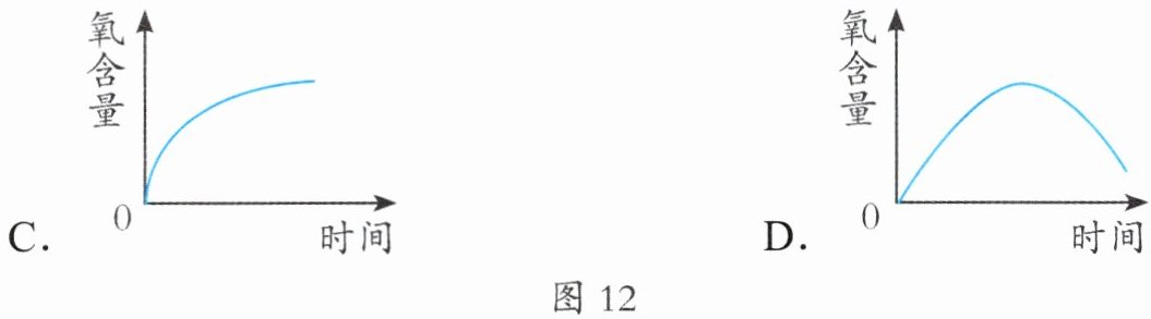 图12