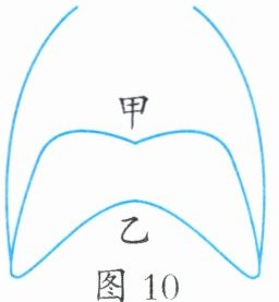 图10