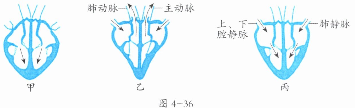 图4-36