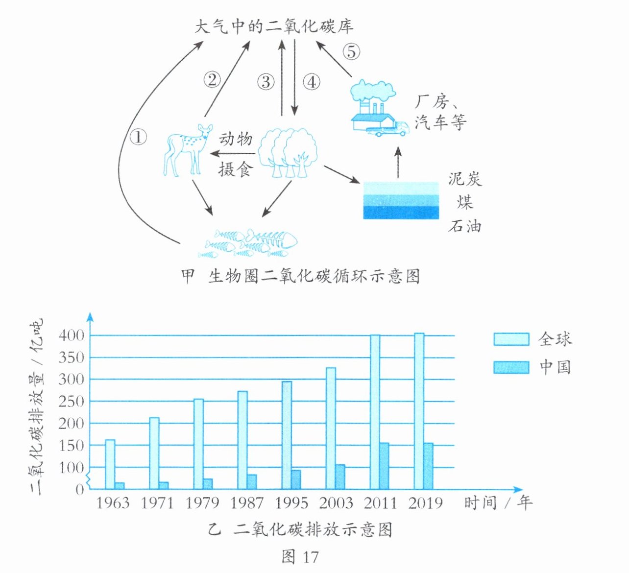 图17