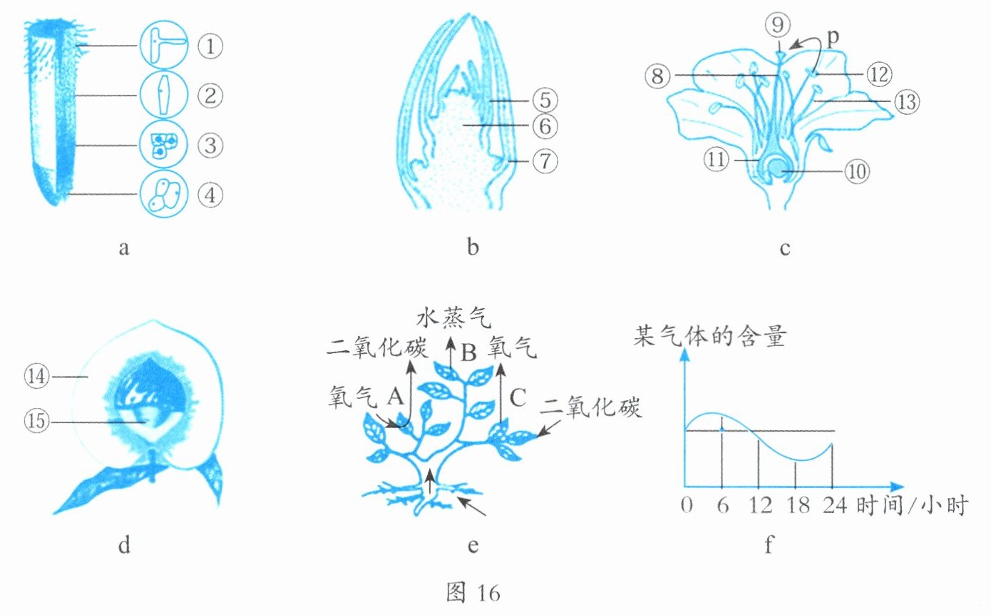 图16