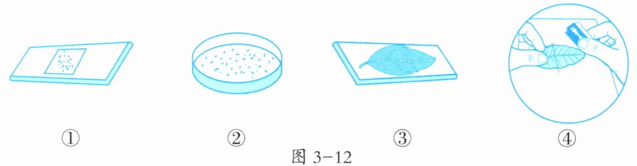 图3-12