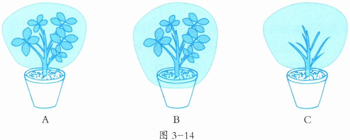 图3-14