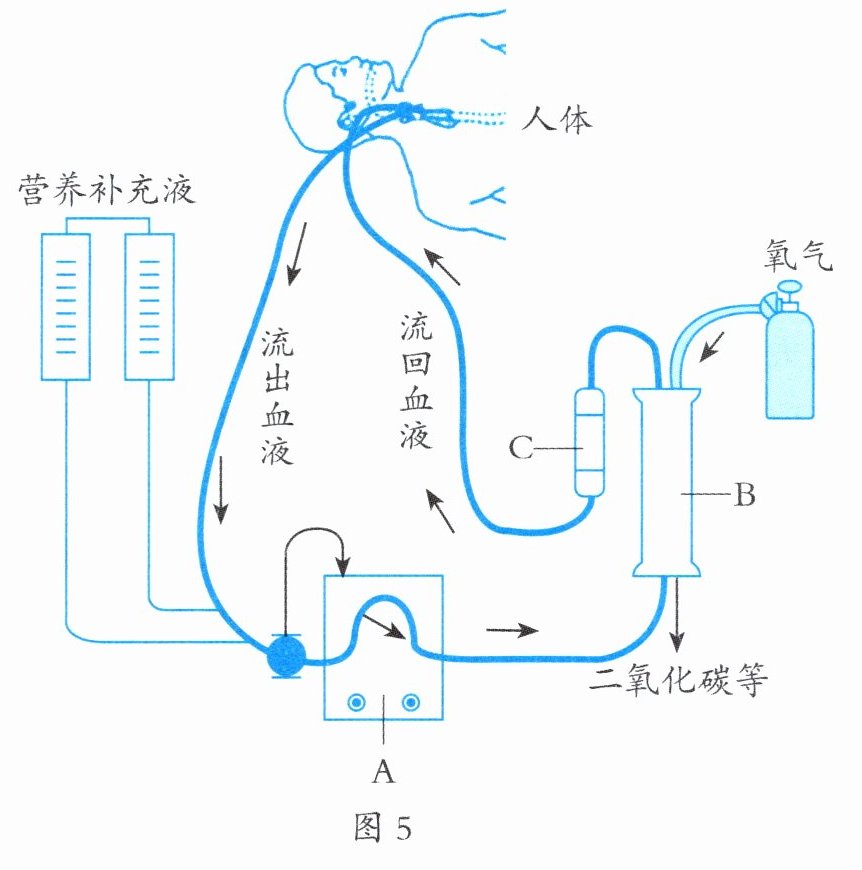 图5