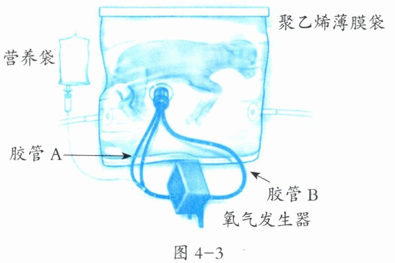 图4-3