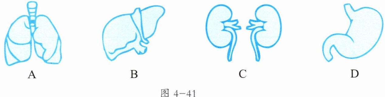 图4-41