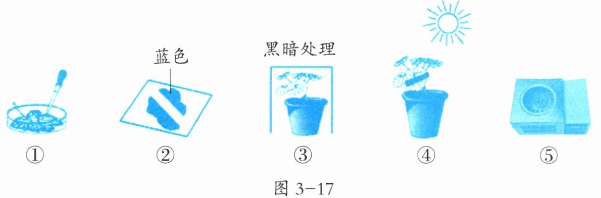 图3-17