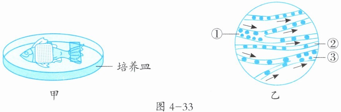 图4-33