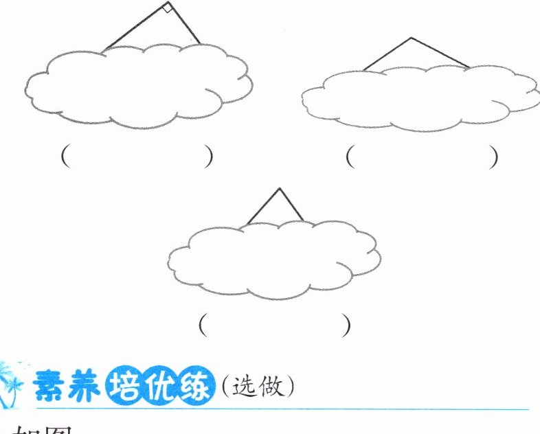 素养培优练选做