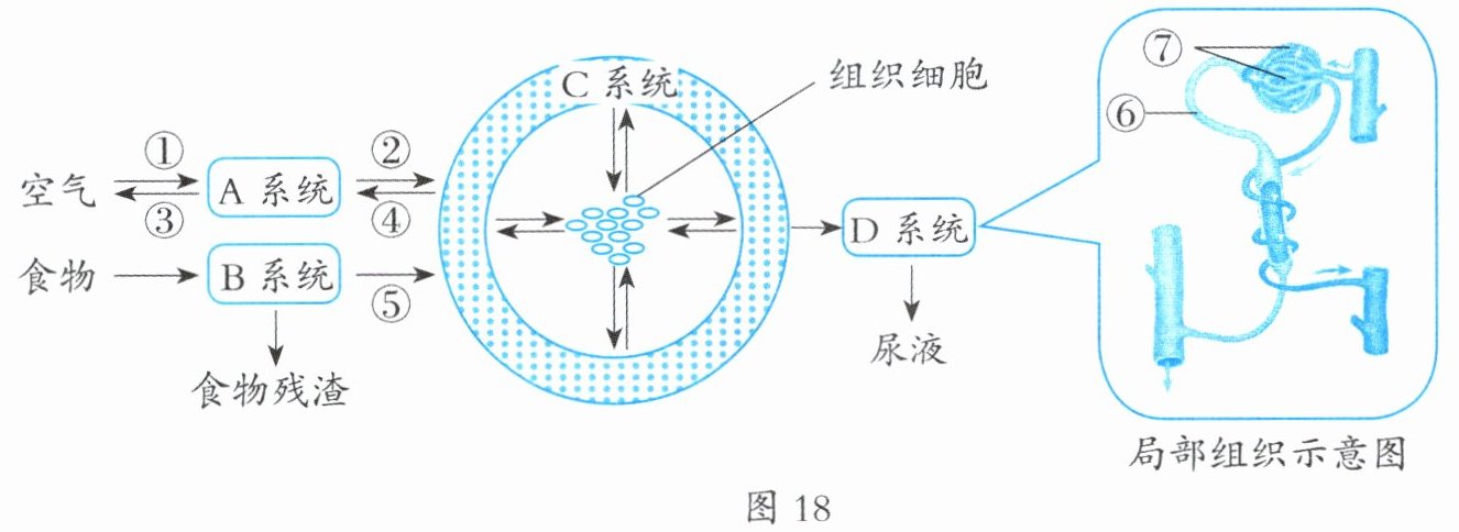 图18
