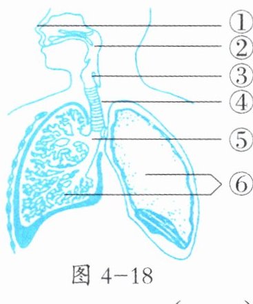 图4-18