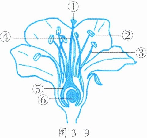 图3-9