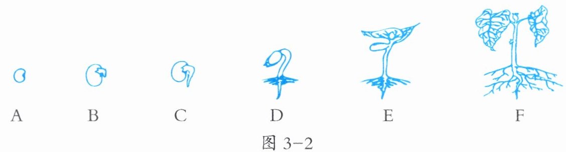 图3-2