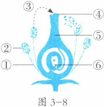图3-8