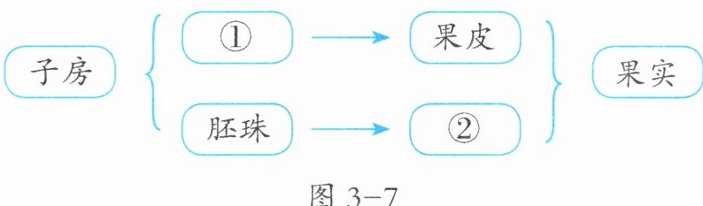 图3-7