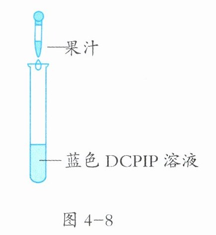 图4-8