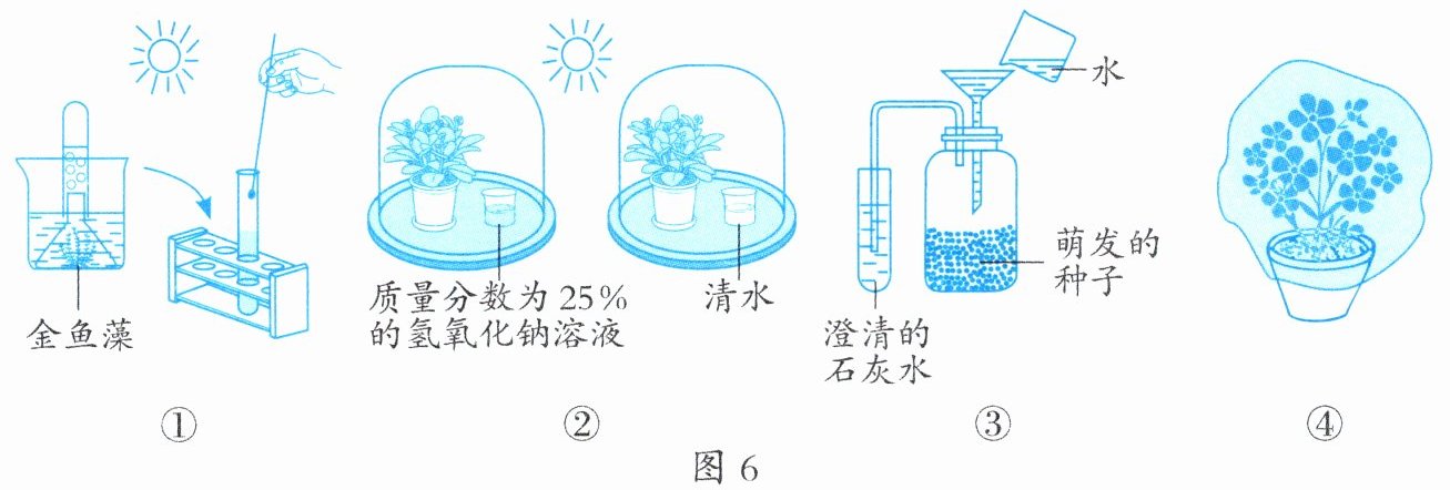 图6