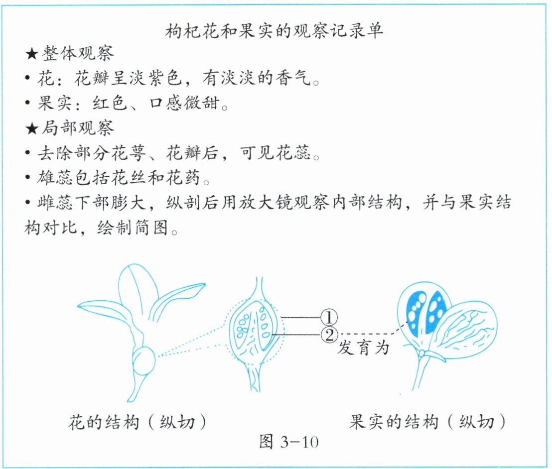 图3-10