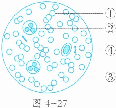 图4-27