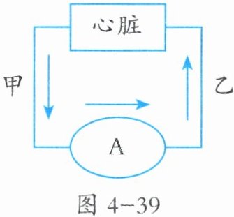 图4-39