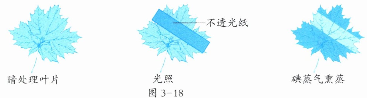 图3-18