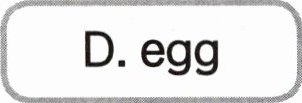 Degg