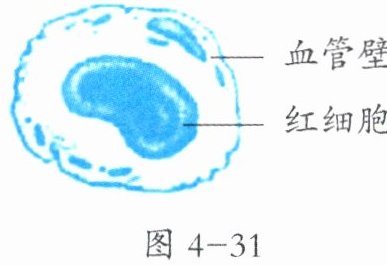 图4-31