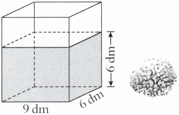 9dm