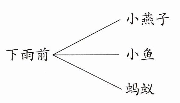 蚂蚁