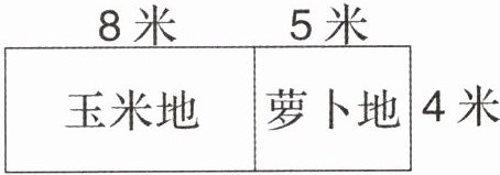 玉米地萝卜地4米