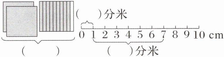 分米